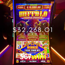 Casino Ao Vivo 567wim